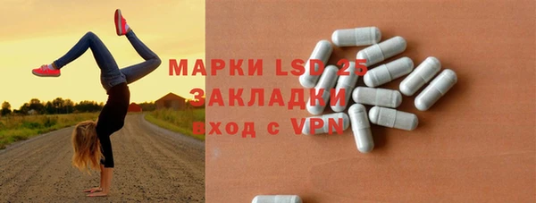 гидропоника Каменка