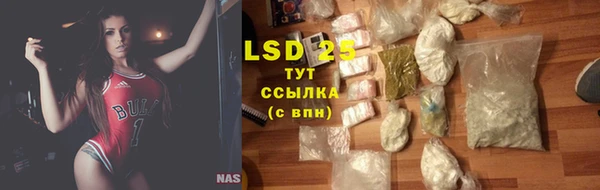 гидропоника Каменка