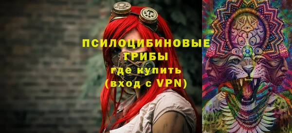 альфа пвп Каменногорск