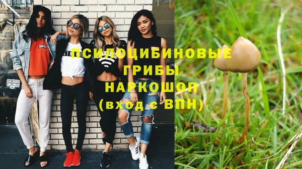 гидропоника Каменка