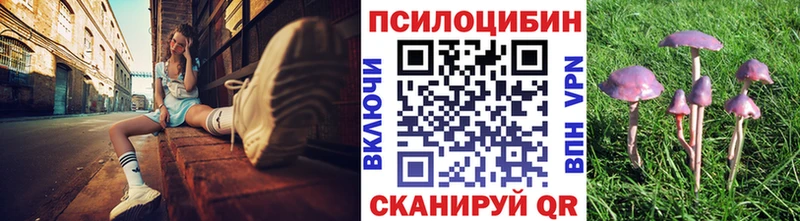 hydra как войти  Камышлов  Галлюциногенные грибы Psilocybine cubensis 